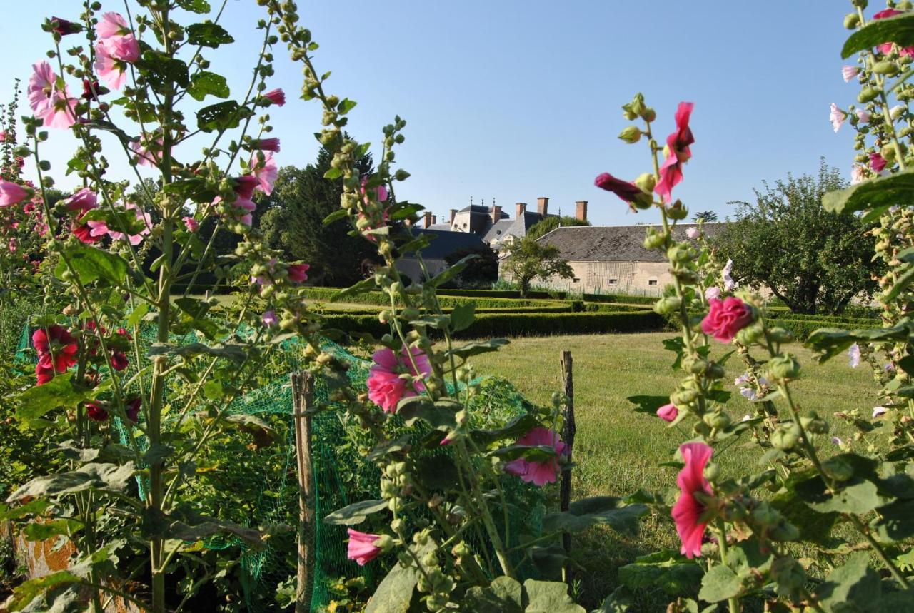 Chateau La Touanne Loire Valley Baccon Eksteriør billede