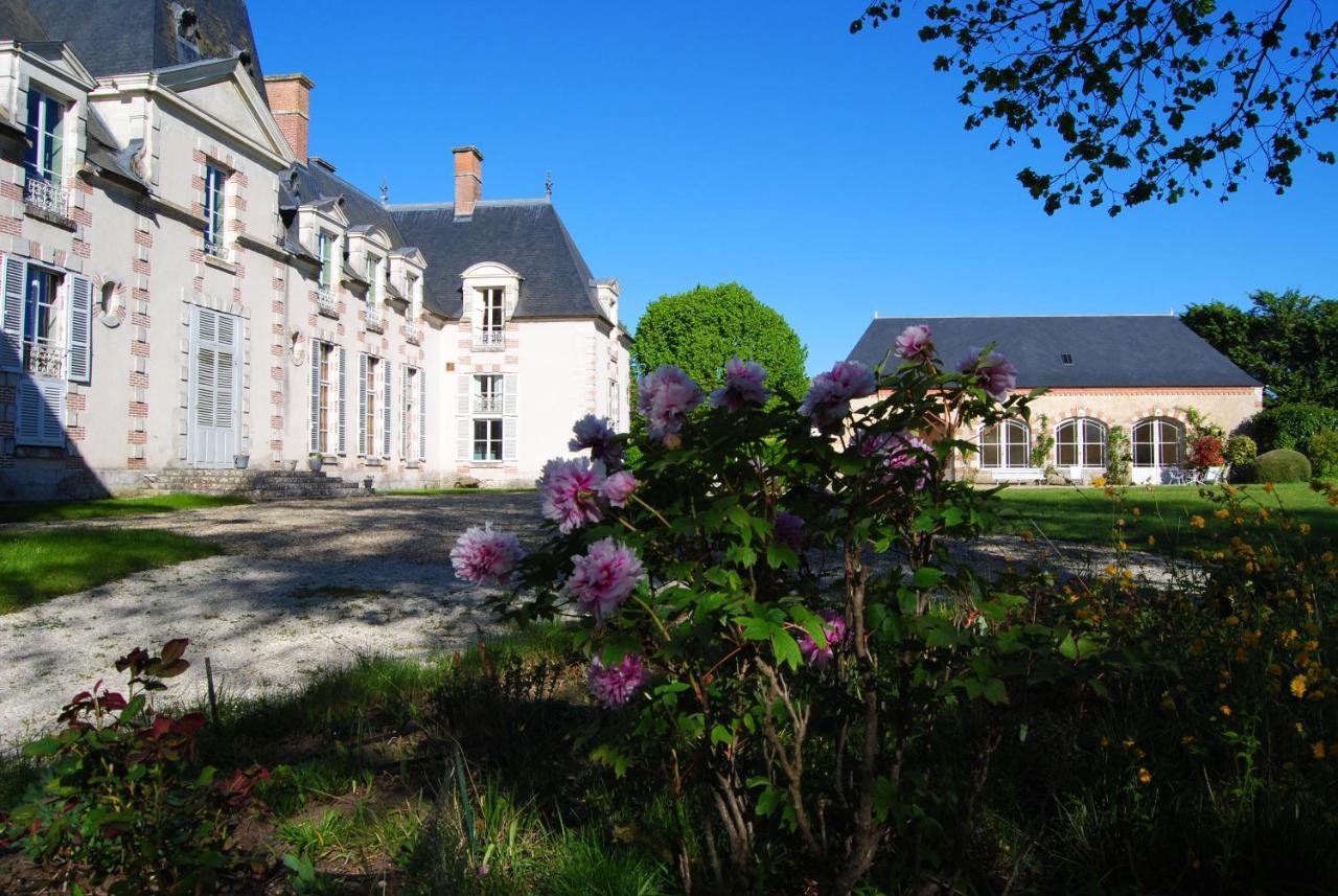 Chateau La Touanne Loire Valley Baccon Eksteriør billede