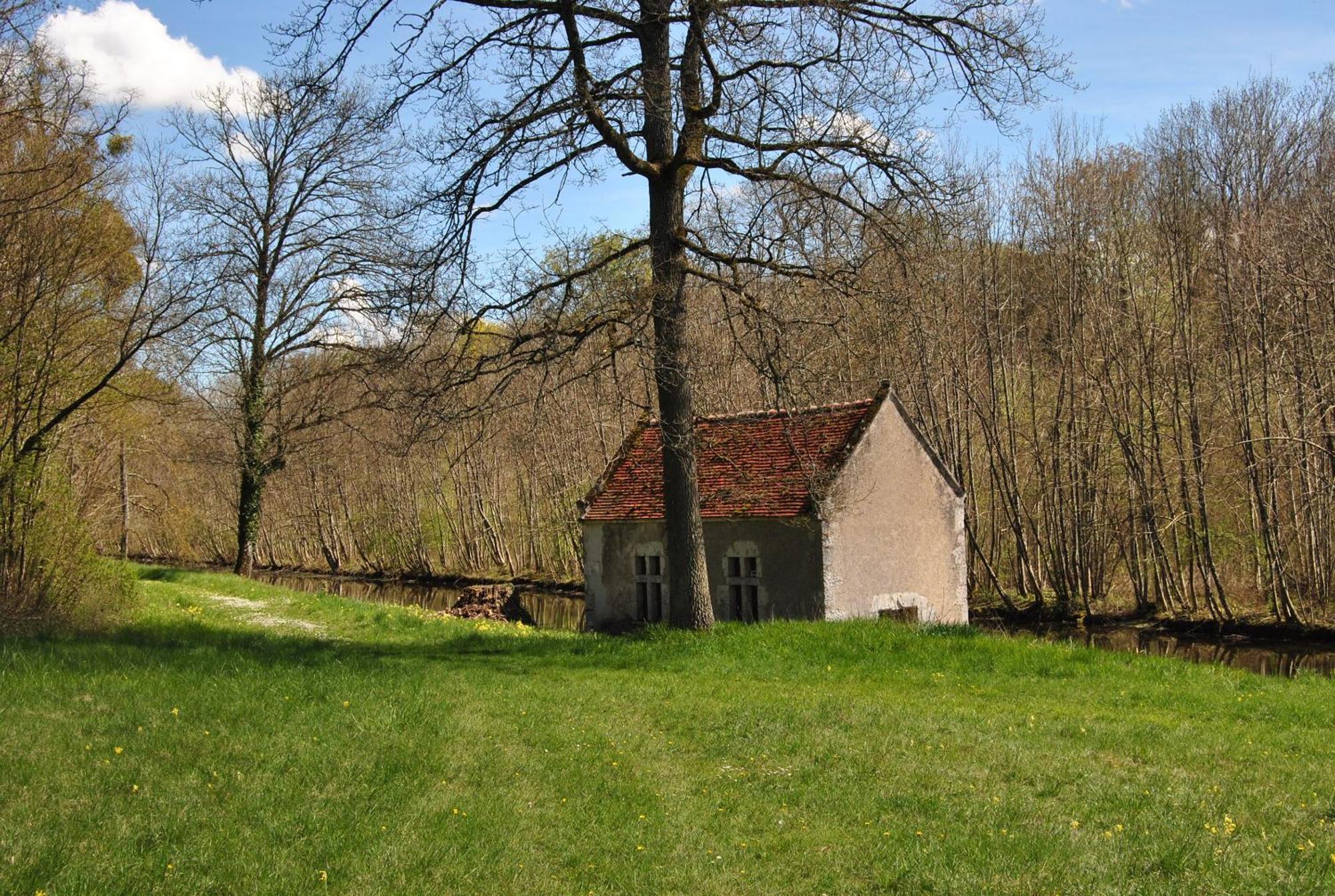 Chateau La Touanne Loire Valley Baccon Eksteriør billede