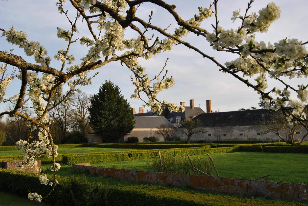 Chateau La Touanne Loire Valley Baccon Eksteriør billede