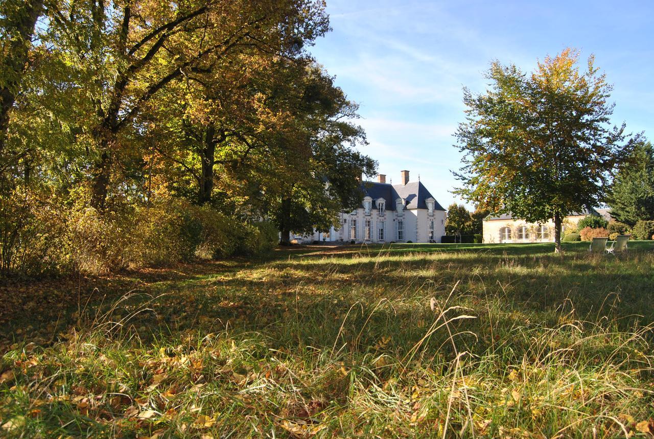 Chateau La Touanne Loire Valley Baccon Eksteriør billede